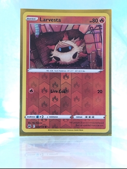 Larvesta card