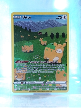 Ditto card