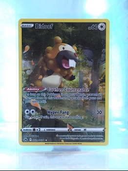 Bidoof card