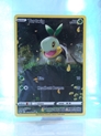 Turtwig