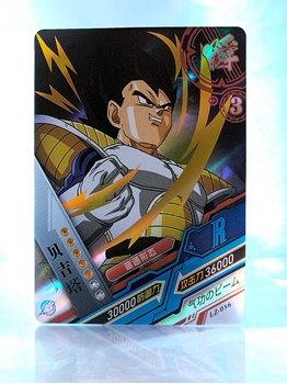 Vegeta SSB card